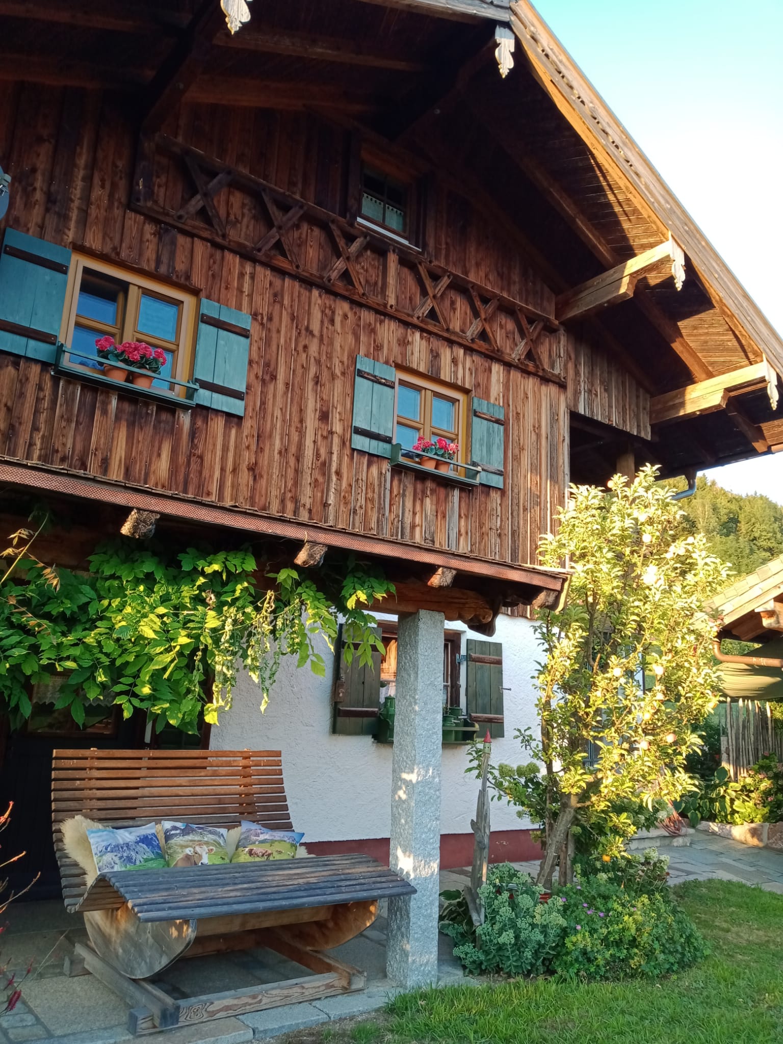 Gartenratsch